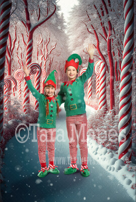 Candy Cane Forest Digital Backdrop - Peppermint Candy Forest - Candy Cane Land -  Christmas Digital Background