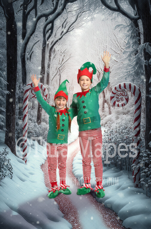 Candy Cane Forest Digital Backdrop - Peppermint Candy Forest - Candy Cane Land -  Christmas Digital Background