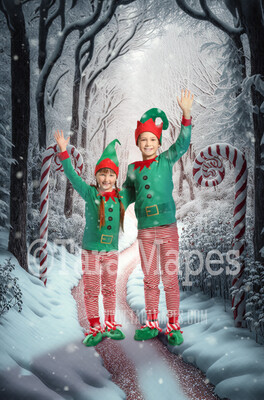 Candy Cane Forest Digital Backdrop - Peppermint Candy Forest - Candy Cane Land -  Christmas Digital Background