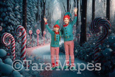 Candy Cane Forest Digital Backdrop - Peppermint Candy Forest - Candy Cane Land -  Christmas Digital Background