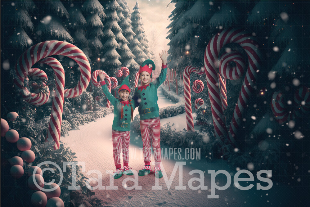 Candy Cane Forest Digital Backdrop - Peppermint Candy Forest - Candy Cane Land -  Christmas Digital Background
