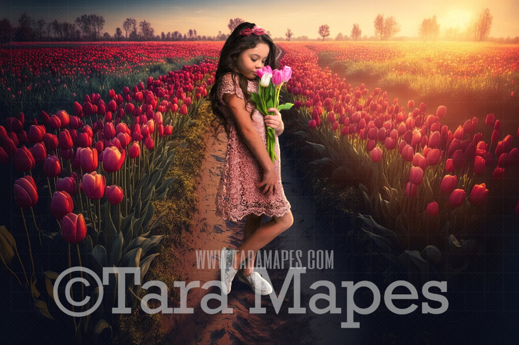 Field of Tulips Digital Backdrop - Path in Field of Tulips - Flower Field - Tulips  Digital Background - JPG
