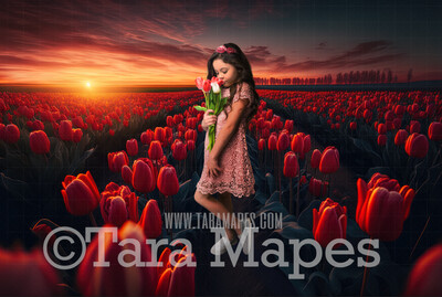 Field of Tulips Digital Backdrop - Path in Field of Tulips - Flower Field - Tulips  Digital Background - JPG