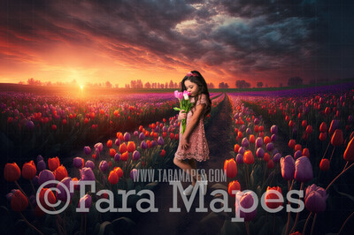 Field of Tulips Digital Backdrop - Path in Field of Tulips - Flower Field - Tulips  Digital Background - JPG