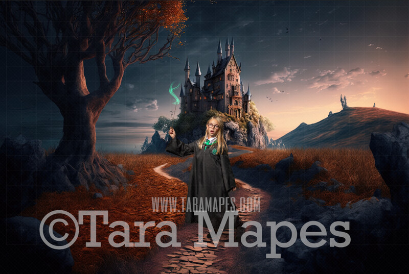 Wizard Castle Digital Backdrop - Wizard Castle Path - Magical Scene  - Wizard Digital Background
