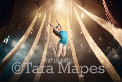 Circus Digital Background - Circus Arena with Lights - Circus Arena Digital Background (JPG FILE)