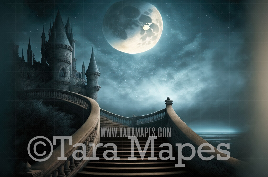 Princess Castle Digital Background - Cinderella Digital Backdrop - Princess Digital Background JPG file