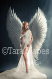 Angel Wings in Ornate Room Digital Background - Wing Room Digital Backdrop - Palace Wings Digital Background JPG file