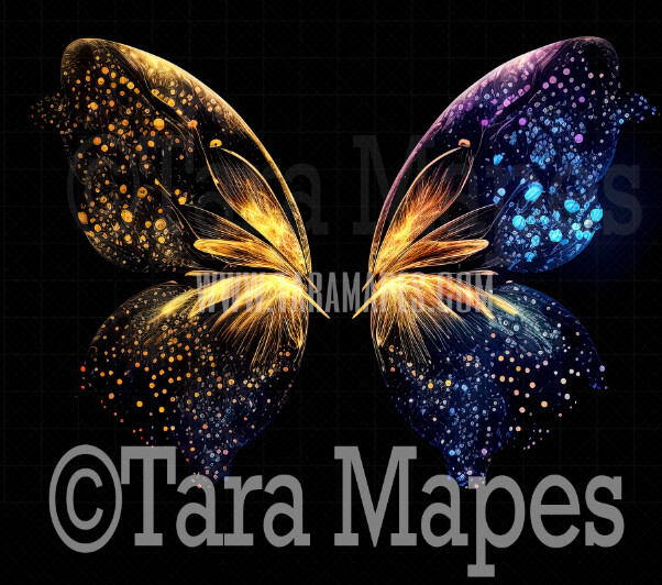 My Image 19