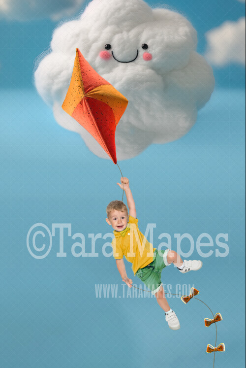 Needle Felted Kite  and Cloud in Sky - Sitter Newborn Digital Backdrop - Needle Felt Baby Newborn Digital Background