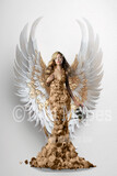 Angel Wings Room Digital Backdrop - Room with Floating Wings - Ornate Room Wings -  Digital Background JPG