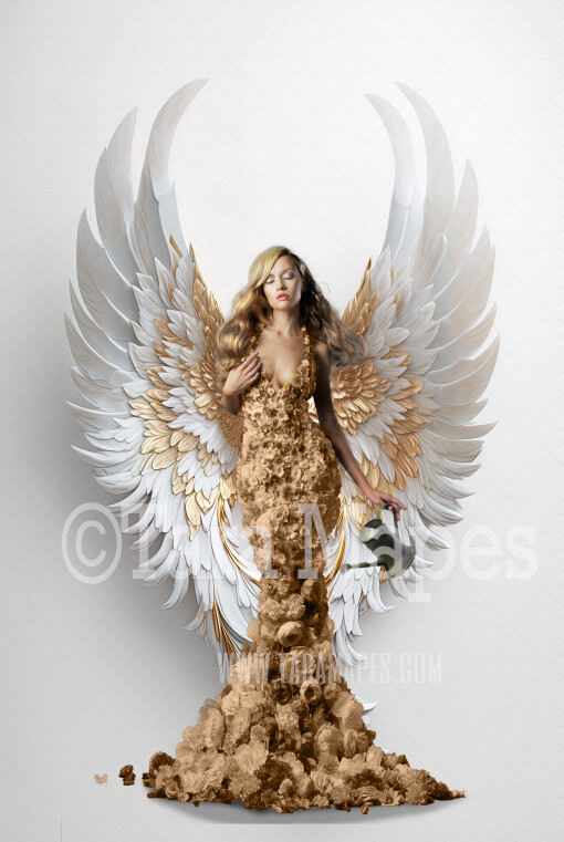 Angel Wings Room Digital Backdrop - Room with Floating Wings - Ornate Room Wings -  Digital Background JPG