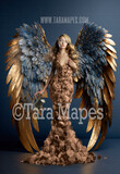 Angel Wings Room Digital Backdrop - Room with Floating Wings - Ornate Room Wings -  Digital Background JPG