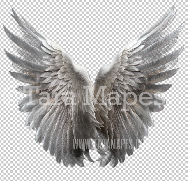 Angel Wings - Feathery Angel Wings - White Angel Wings PNG