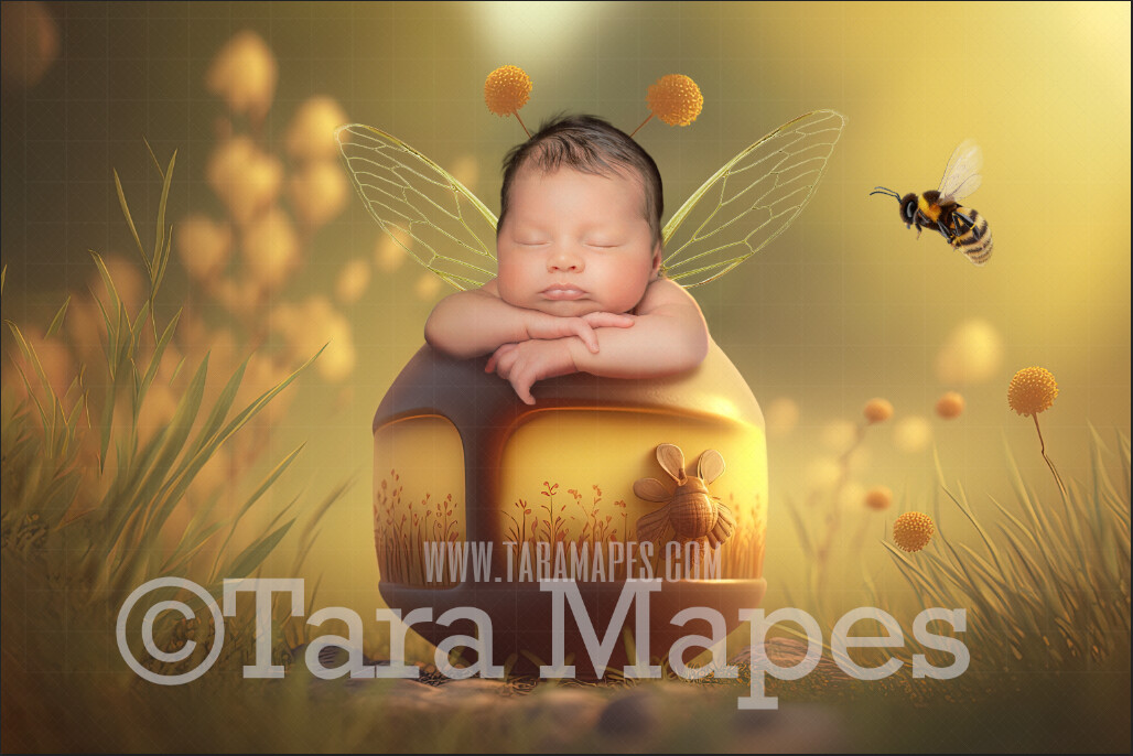 Newborn Digital Backdrop - Baby Honey Pot - Honey Pot with Wings and Antennae - Separated Layers- LAYERED PSD - Newborn Digital Background