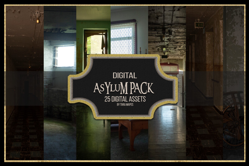 ASYLUM PACK - Haunted Abandoned Asylum Infirmary Digital Backgrounds - Halloween - Scary -Creepy - Digital Background / Backdrop