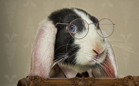 Easter Bunny Frame - Fine Art Easter Bunny - Easter Bunny Holding a Frame  - Fun Easter Digital - PNG file - Photoshop Digital Background / Backdrop