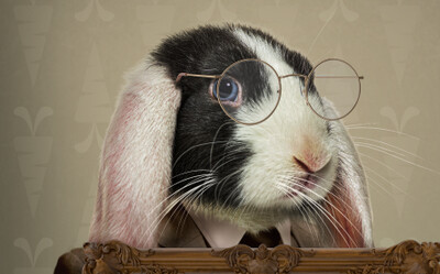 Easter Bunny Frame - Fine Art Easter Bunny - Easter Bunny Holding a Frame - Fun Easter Digital - PNG file - Photoshop Digital Background / Backdrop Easter Bunny Frame - Fine Art Easter Bunny - Easter Bunny Holding a Frame - Fun Easter Digital - PNG file - Photoshop Digital Background / Backdrop