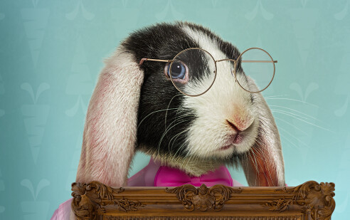 Easter Bunny Frame - Fine Art Easter Bunny - Easter Bunny Holding a Frame  - Fun Easter Digital - PNG file - Photoshop Digital Background / Backdrop