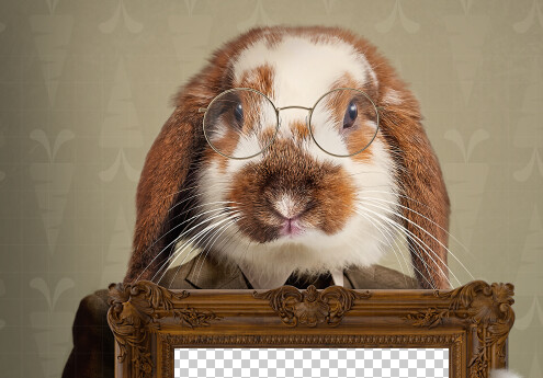 Easter Bunny Frame - Fine Art Easter Bunny - Easter Bunny Holding a Frame - Fun Easter Digital - PNG file - Photoshop Digital Background / Backdrop