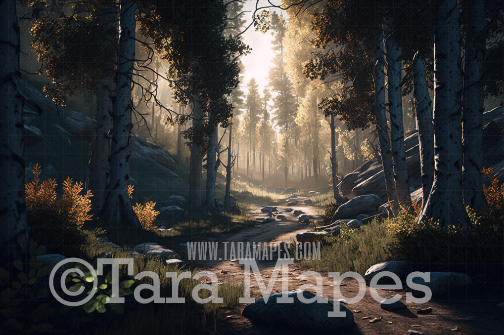 Forest Digital Backdrop - Woods Digital Background