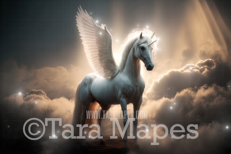 Unicorn Digital Backdrop - Winged Unicorn in Clouds - Fantasy Winged Unicorn -  Unicorn Digital Background JPG