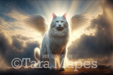 White Cat with Wings Digital Backdrop - Winged White Cat in Clouds - Fantasy Winged White Cat -  White Fox Digital Background JPG