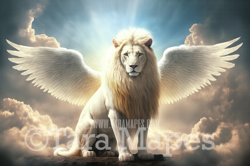 White Lion with Wings Digital Backdrop - Winged White Lion in Clouds - Fantasy Winged White Lion -  White Lion Digital Background JPG