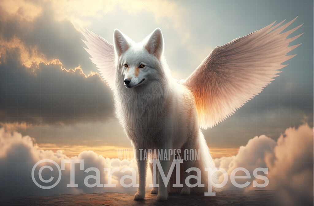 White Fox with Wings Digital Backdrop - Winged White Fox in Clouds - Fantasy Winged White Fox - White Fox Digital Background JPG