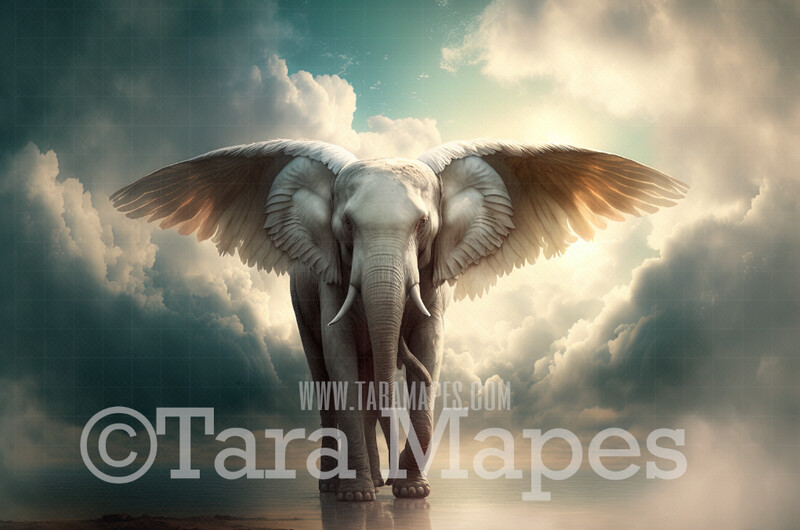 Elephant with Wings Digital Backdrop - Winged Elephant in Clouds - Fantasy Winged Elephant -  Elephant Digital Background JPG