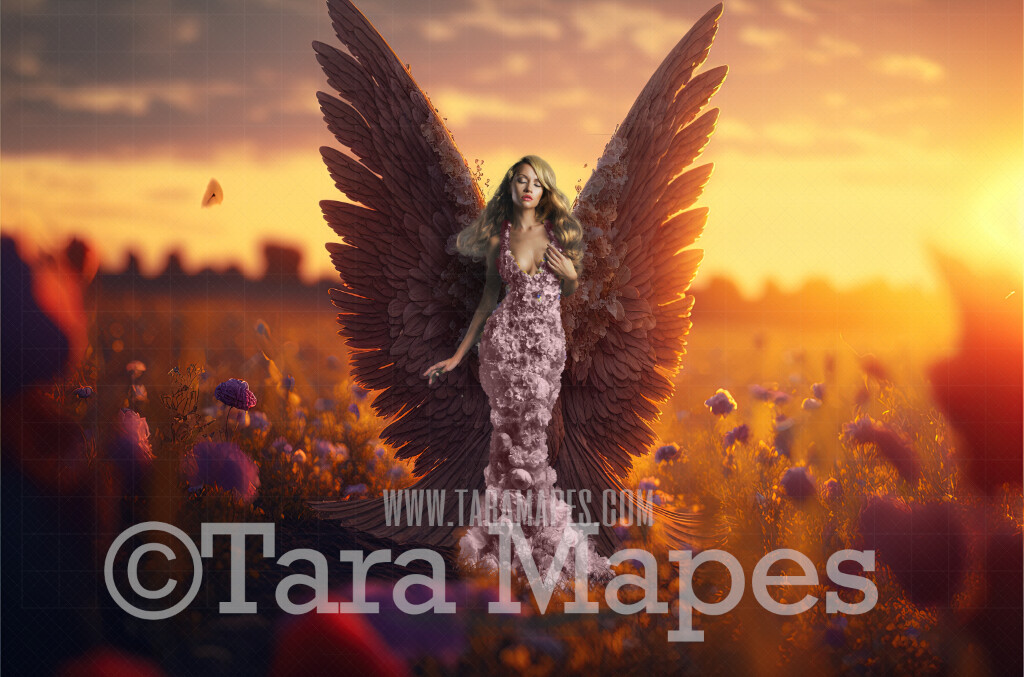Angel Wings in Field Background (JPG FILE) - Delicate Glowing Fairy Wings in a Field at Sunset - Fairy Wedding Maternity Digital Background