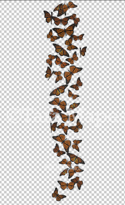 Butterfly Overlay - Butterflies Overlay - Butterfly Swirl Overlay PNG