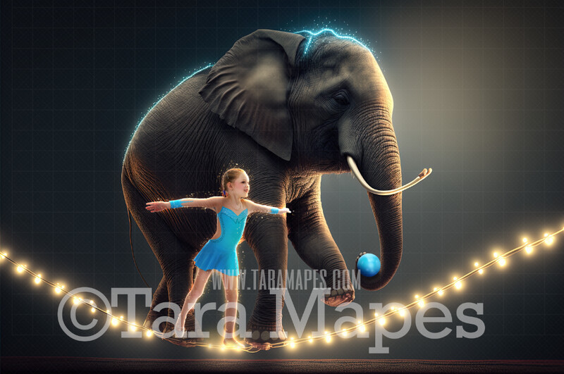 Circus Elephant Digital Background - Elephant on Glowing Tightrope in Circus Arena - Circus Digital Background (JPG FILE)