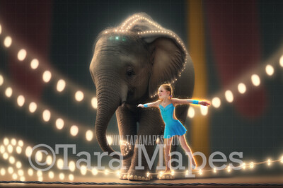 Circus Elephant Digital Background - Elephant on Glowing Tightrope in Circus Arena - Circus Digital Background (JPG FILE)
