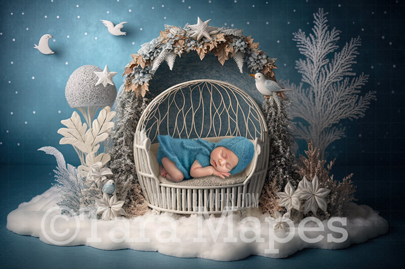 Newborn Digital Backdrop - Winter Themed Newborn Digital Background - Winter Wreath Newborn Digital - Baby Newborn Digital Background