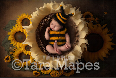 Newborn Digital Backdrop - Sunflower Newborn Digital Background - Summer Sunflower Newborn Digital - Baby Newborn Digital Background