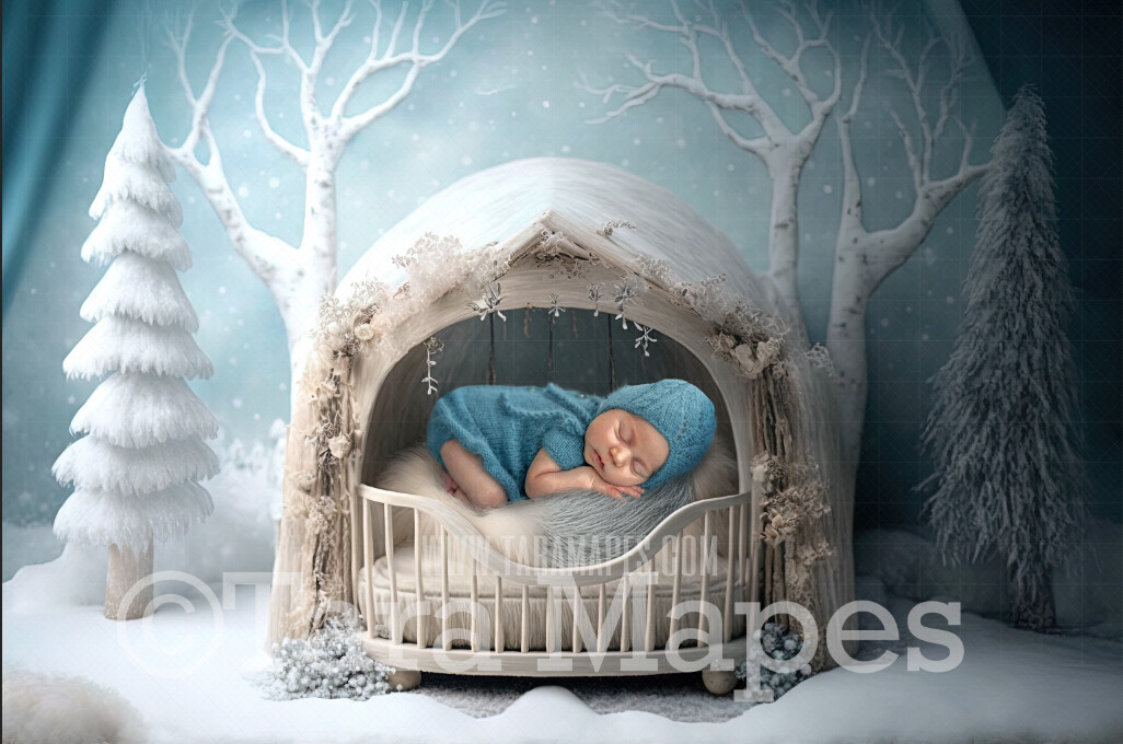 Newborn Digital Backdrop - Winter Themed Newborn Digital Background - Winter Wreath Newborn Digital - Baby Newborn Digital Background