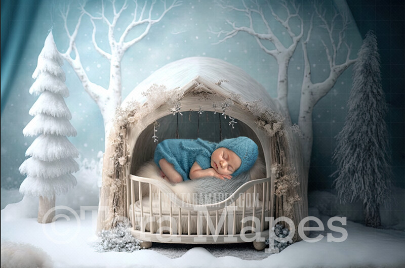 Newborn Digital Backdrop - Winter Themed Newborn Digital Background - Winter Wreath Newborn Digital - Baby Newborn Digital Background