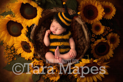 Newborn Digital Backdrop - Sunflower Newborn Digital Background - Summer Sunflower Newborn Digital - Baby Newborn Digital Background