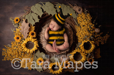 Newborn Digital Backdrop - Sunflower Newborn Digital Background - Summer Sunflower Newborn Digital - Baby Newborn Digital Background