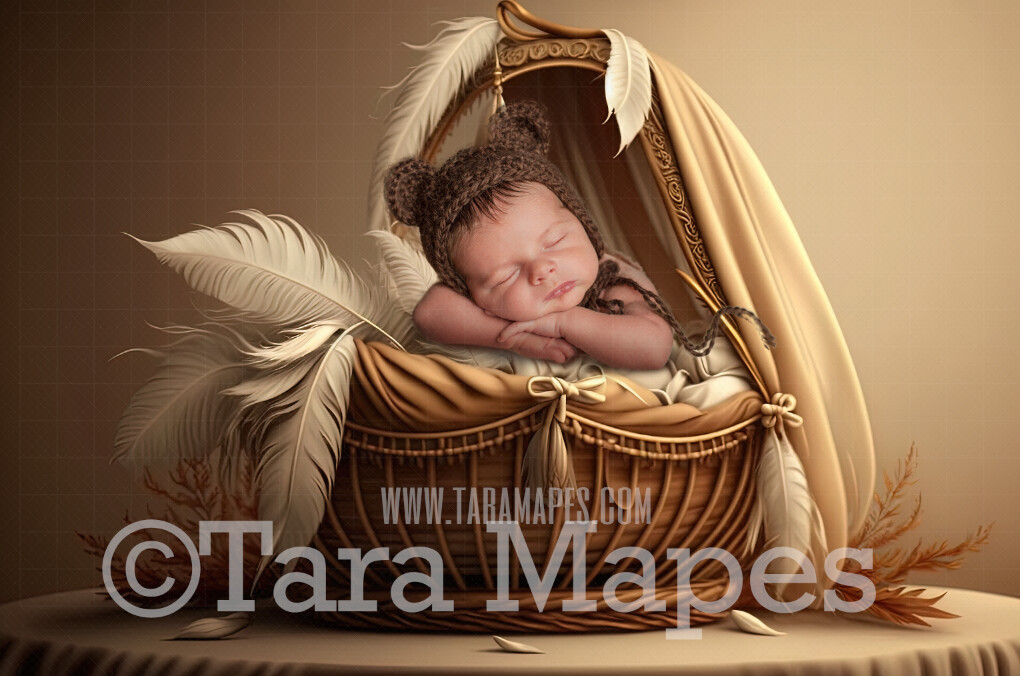 Newborn Digital Backdrop - Neutral Tone Boho Newborn Digital Background -  Feathery Boho Newborn Digital -  Beiges and Brown Themed Baby Newborn Digital Background