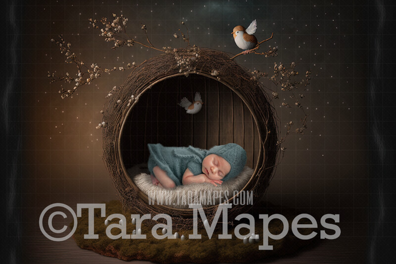 Newborn Digital Backdrop - Whimsical Nest Themed Newborn Digital Background - Bird Newborn Digital - Baby Newborn Digital Background
