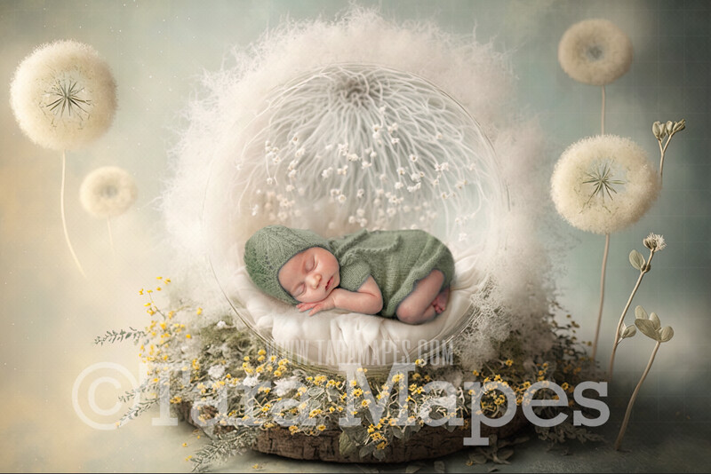 Newborn Digital Backdrop - Whimsical Dandelion Newborn Digital Background - Dandelion Newborn Digital - Baby Newborn Digital Background