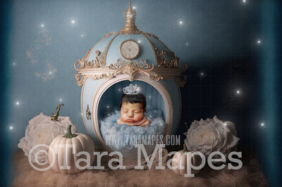 Newborn Digital Backdrop - Cinderella Themed Newborn Digital Background - Princess Newborn Digital - Baby Newborn Digital Background