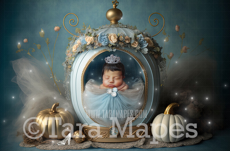 Newborn Digital Backdrop - Cinderella Themed Newborn Digital Background - Princess Newborn Digital - Baby Newborn Digital Background