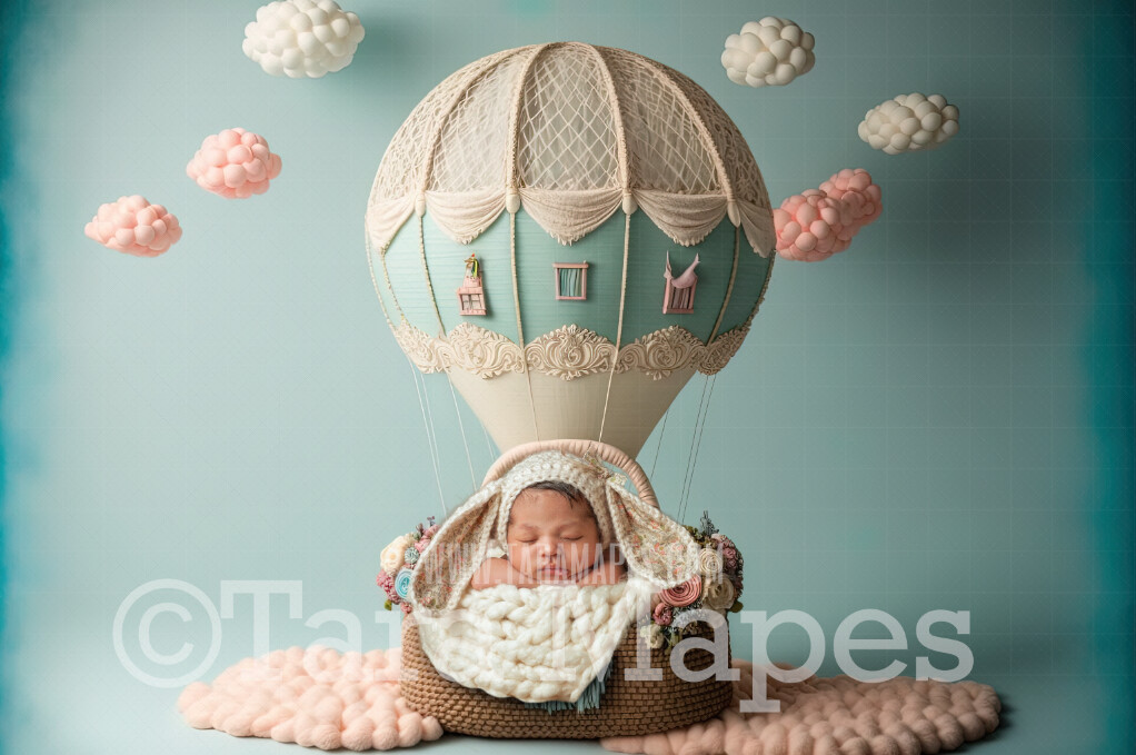 Newborn Digital Backdrop - Hot Air Balloon Themed Newborn Digital Background - Balloon Newborn Digital - Baby Newborn Digital Background
