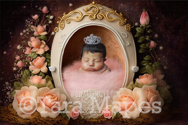 Newborn Digital Backdrop - Princess Themed Newborn Digital Background - Princess Newborn Digital - Baby Newborn Digital Background