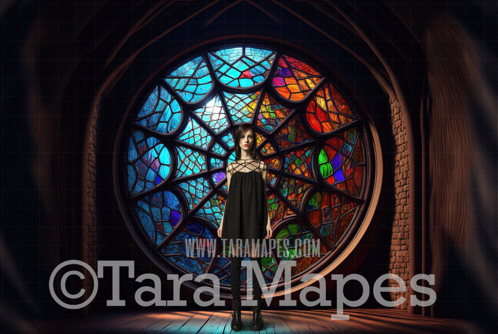 Spider Web Window Digital Backdrop - Circular Window in Castle Room - Half Rainbow Room Digital Backdrop - Nevermore Halloween Digital Background