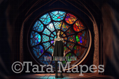 Spider Web Window Digital Backdrop - Circular Window in Castle Room - Half Rainbow Room Digital Backdrop - Nevermore Halloween Digital Background