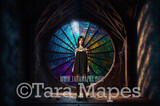 Spider Web Window Digital Backdrop - Circular Window in Castle Room - Half Rainbow Room Digital Backdrop - Nevermore Halloween Digital Background